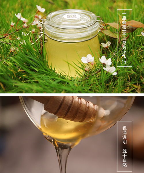 蜂蜜食品拍攝產(chǎn)品圖片制作淘寶詳情頁南陽淘邦電商美工