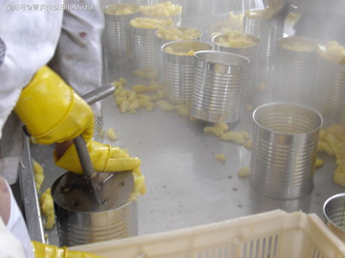 澳克拉食品orkla foods執(zhí)行總裁應(yīng)邀訪問孚美集團青島孚美食品工廠