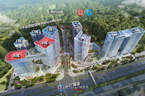 深圳新盤開發(fā)商破產重整警示錄 投資興辦實業(yè)的風險與應對