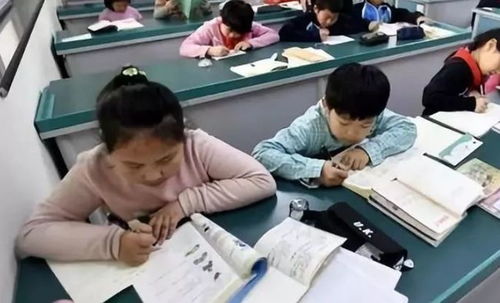 中小學課后服務全面鋪開，教育咨詢助力家長滿意度提升